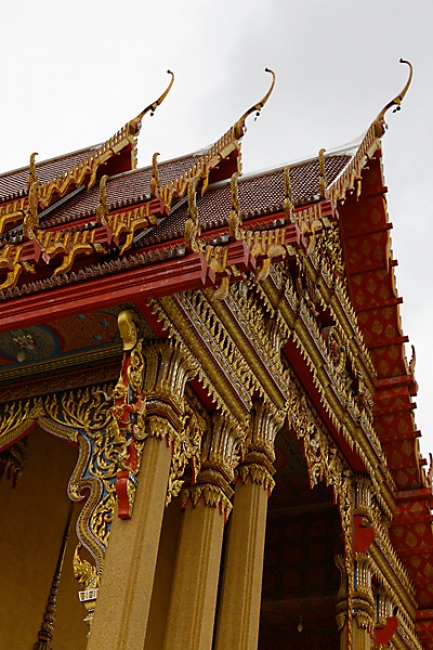 Talin chan-NOV13-090